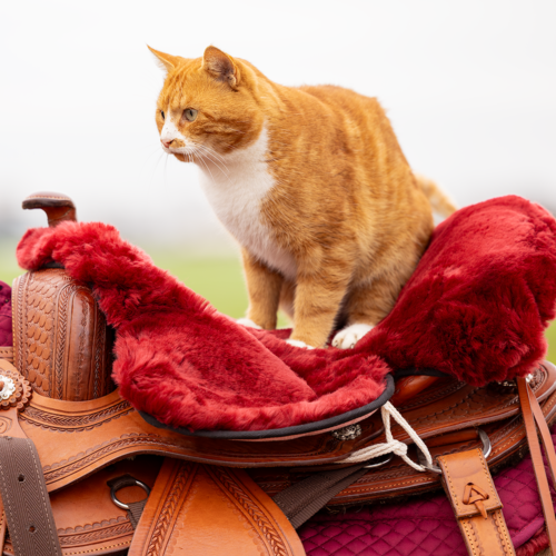 EDIX Merino zadelzitting, voor westernzadel