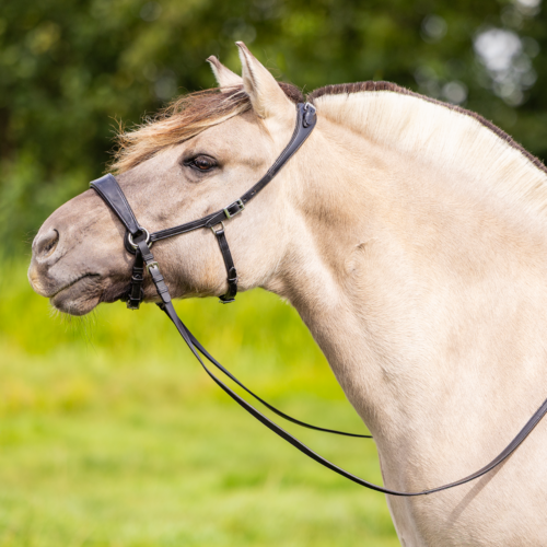 EDIX ED2 Nyra, sidepull bridle