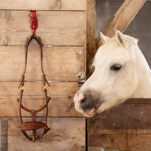 EDIX paardenhoofd muurhaak