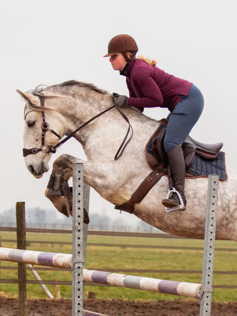 1.1800.25 EDIX Alydar jumping saddle IMG_1241