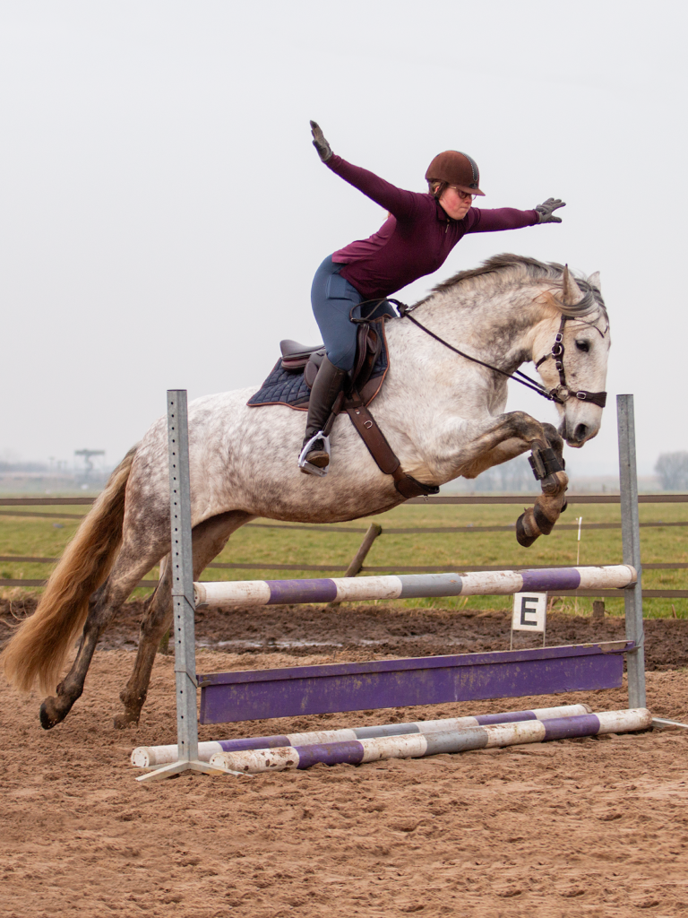 1.1800.25 EDIX Alydar jumping saddle IMG_1249
