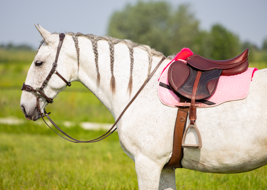 1.1820.25 EDIX Ragnar flexible jumping saddle 0F4A1103