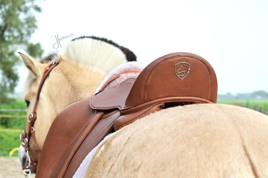 1.1900.12 EDIX Tudor DR saddle