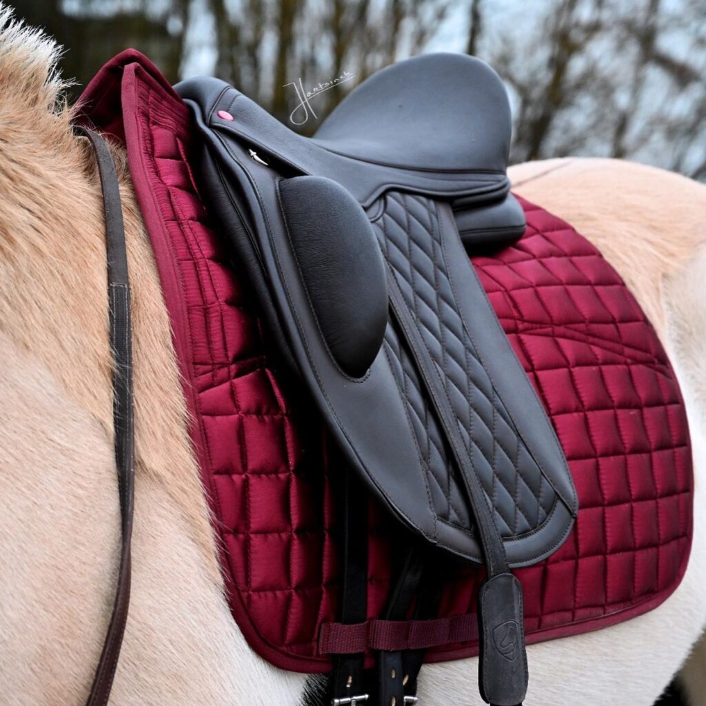 1.1920.12 EDIX Yasir saddle DR 896_n
