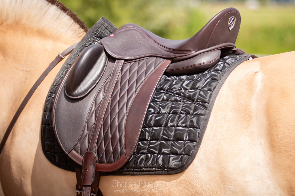 1.1940.12 EDIX Tariq, DR soft tree saddle IMG_2030