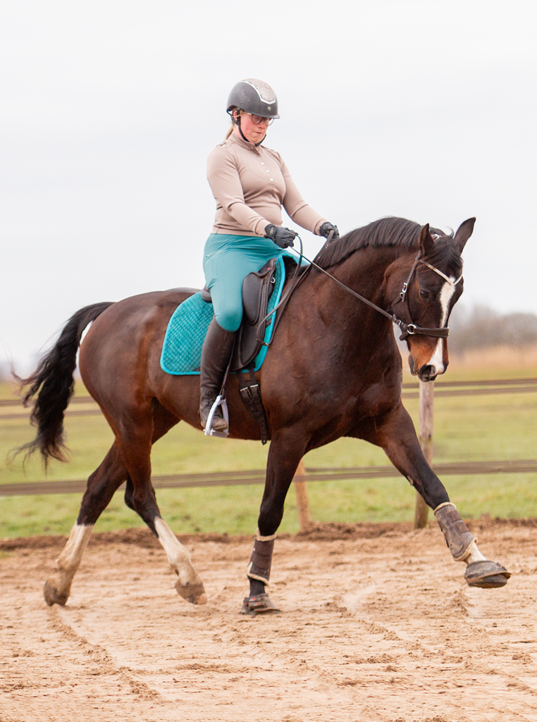 1.1945.1270 EDIX Ishya dressage saddle IMG_2154
