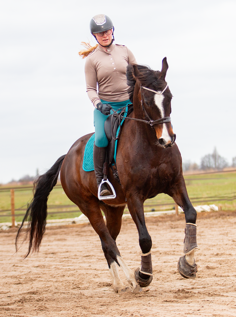 1.1945.1270 EDIX Ishya dressage saddle IMG_2201