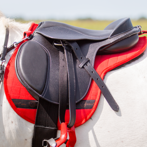 EDIX Amigo Kids treeless general-purpose saddle