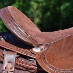 EDIX Django boomloos Western zadel