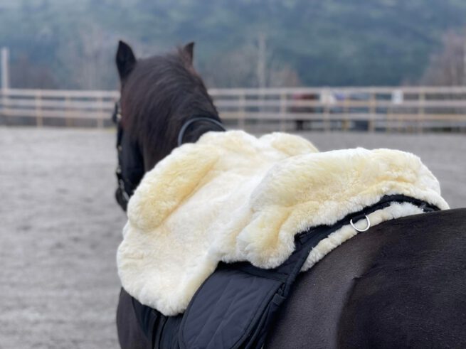 EDIX Signor Merino sheepskin Barebackpad - Image 33