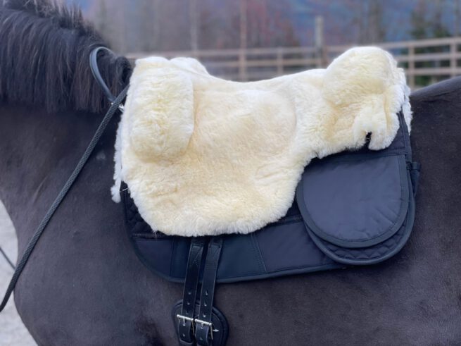 EDIX Signor Merino sheepskin Barebackpad - Image 34