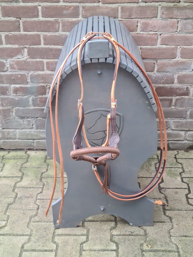 EDIX ED3, western bridle of the Rose collection - Image 18