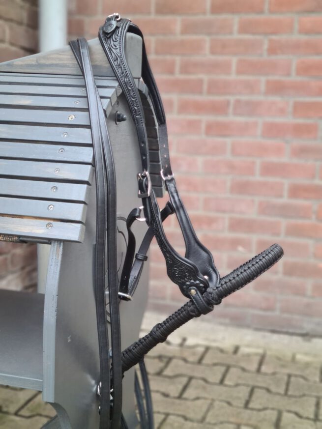 EDIX ED3, western bridle of the Rose collection - Image 16