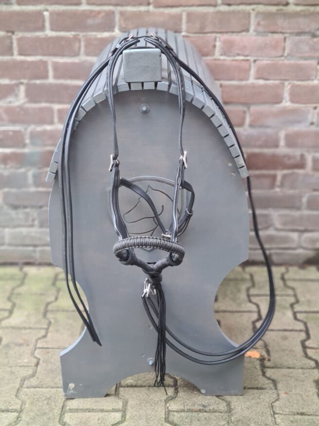 EDIX ED3, western bridle of the Rose collection - Image 20