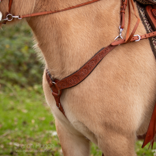 EDIX Breastcollar of the Rose collection