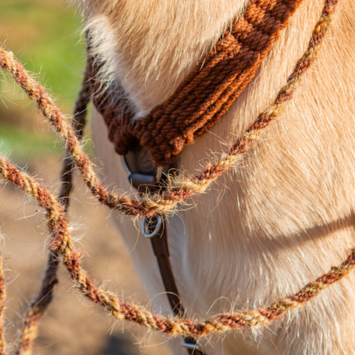 EDIX Roper Breastcollar