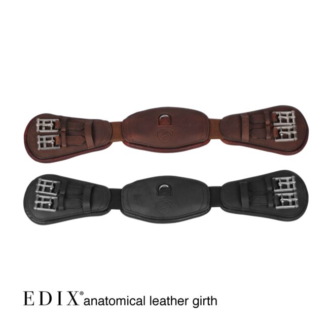 EDIX anatomische 3-delige leren dressuursingel