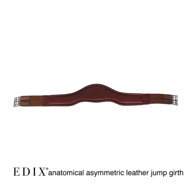 EDIX anatomic leather dressage girth