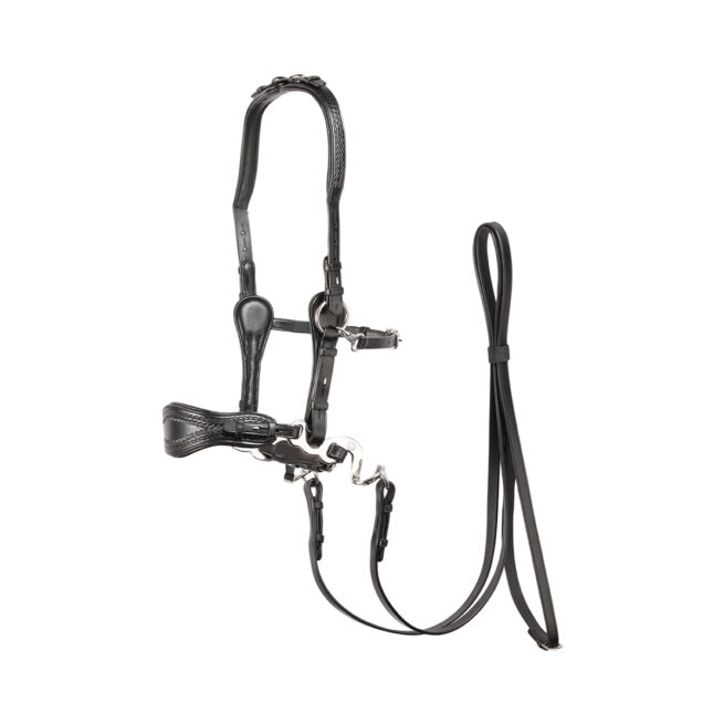 EDIX ED4 Hackamore hoofdstel, model Jazz