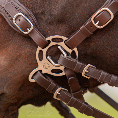 EDIX Halo hackamore scharen