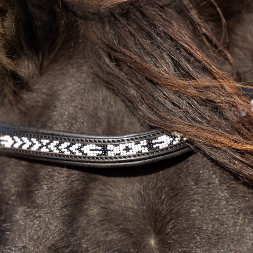 EDIX Brightstar frontriem