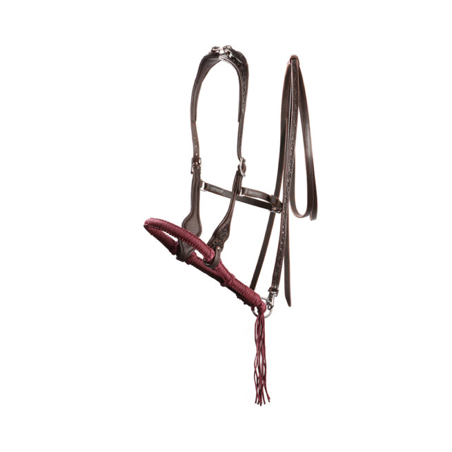 EDIX ED3, western bridle of the Rose collection - Image 8