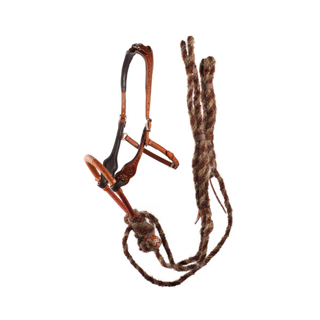 EDIX ED3, western bridle of the Rose collection - Image 2