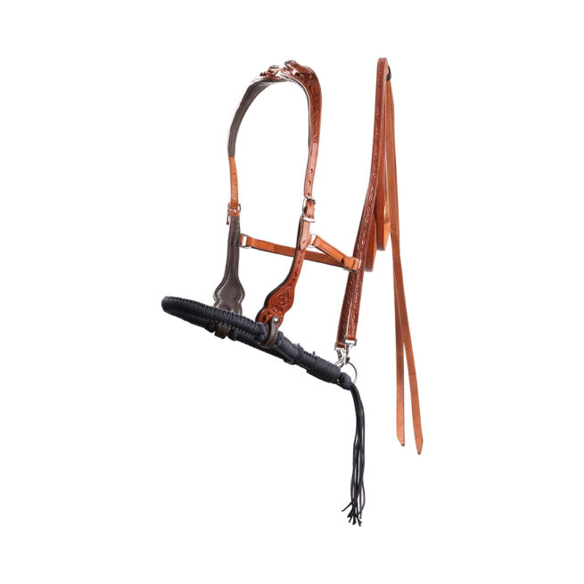 EDIX ED3, western bridle of the Rose collection - Image 7