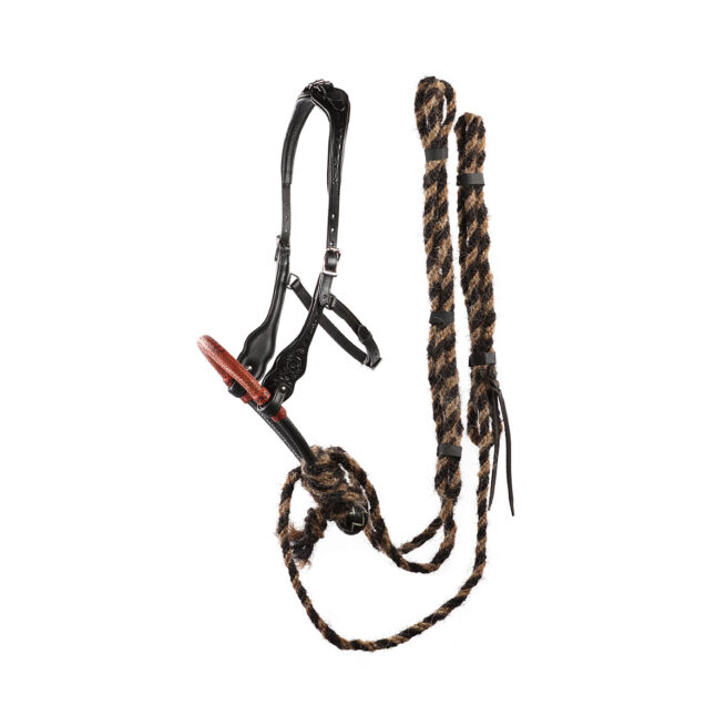 EDIX ED3, western bridle of the Rose collection - Image 4