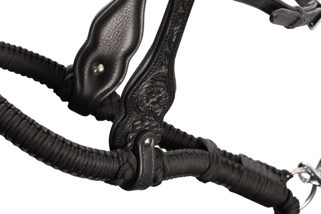 EDIX ED3, western bridle of the Rose collection - Image 22