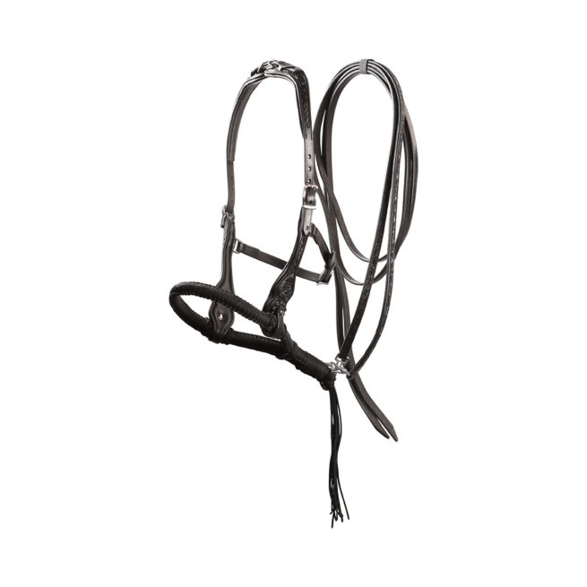 EDIX ED3, western bridle of the Rose collection - Image 3