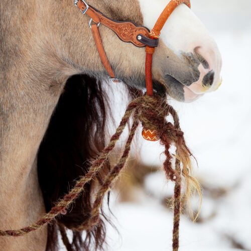 EDIX Calif horsehair mecate reins