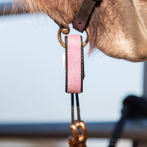 EDIX Iris Halter Safety Release