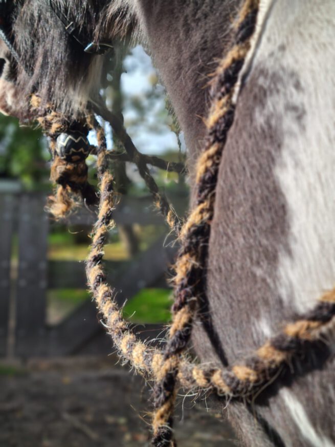 EDIX Calif paardenhaar mecate teugels - Afbeelding 3