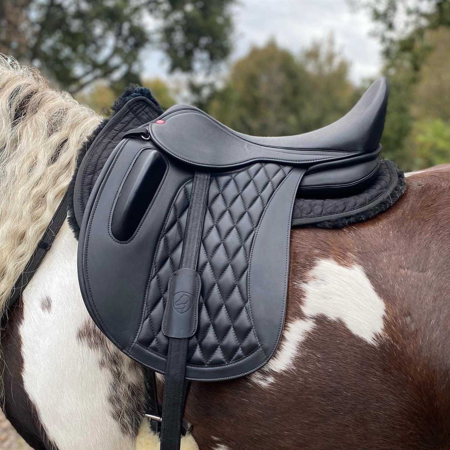 EDIX Yasir soft tree dressage saddle - EDIX