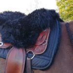 EDIX Alvin Western seataver horncutout