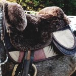 EDIX Signor Merino sheepskin Barebackpad