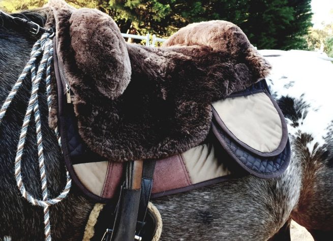 EDIX Signor Merino sheepskin Barebackpad