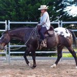 EDIX Signor Merino sheepskin Barebackpad