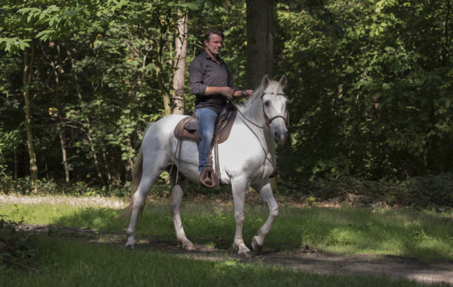 EDIX Tiamo boomloos Western zadel - Afbeelding 6