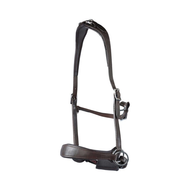 EDIX ED2, model Grace side pull hoofdstel - Afbeelding 3