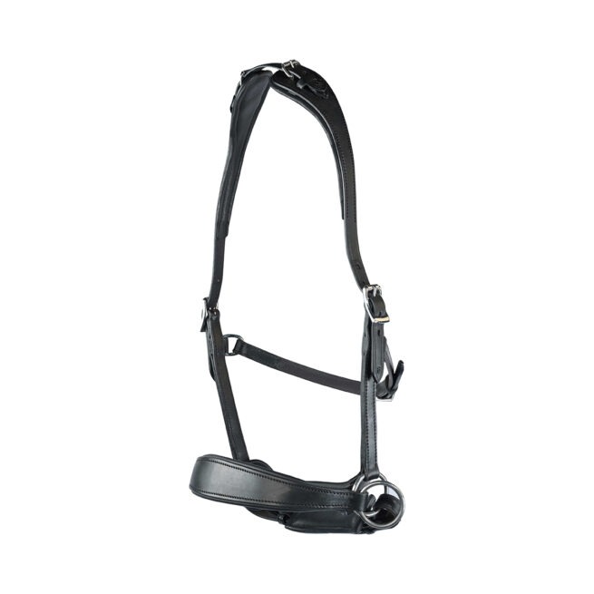 EDIX ED2, model Grace side pull hoofdstel - Afbeelding 2