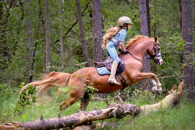 EDIX Alydar kinder springzadel - Afbeelding 7