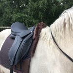 EDIX Yasir soft tree dressage saddle