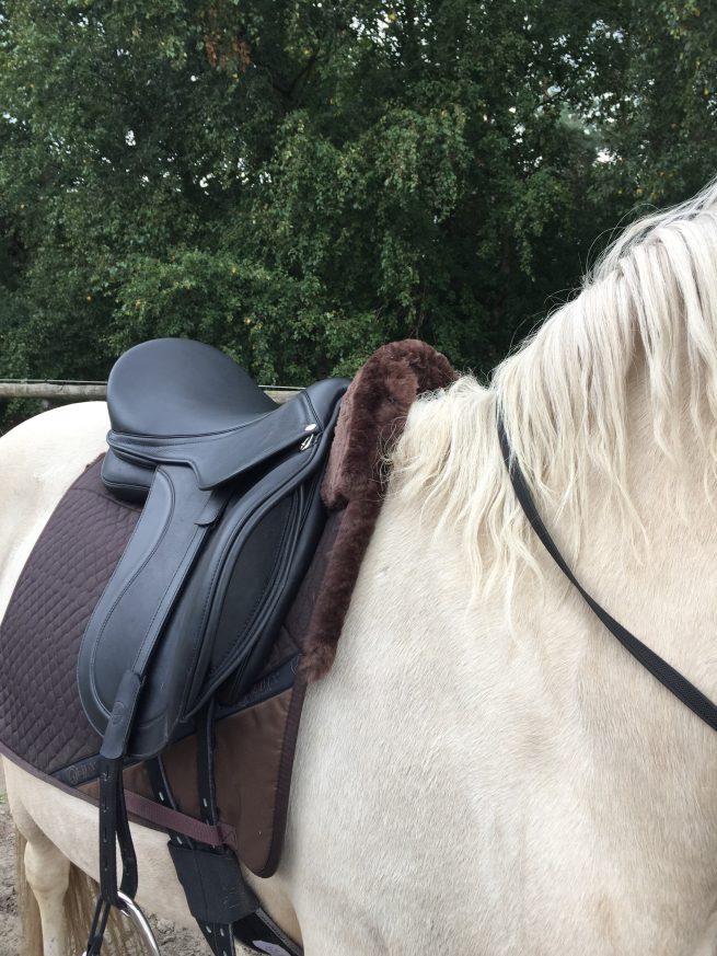 EDIX Yasir soft tree dressage saddle