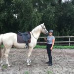 EDIX Yasir soft tree dressage saddle
