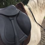 EDIX Yasir soft tree dressage saddle