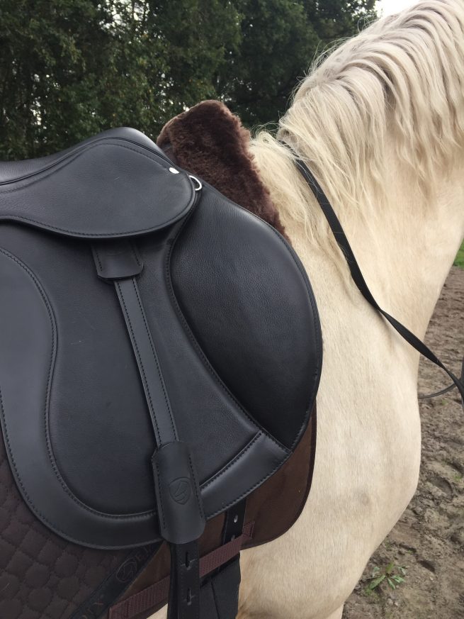 EDIX Yasir soft tree dressage saddle