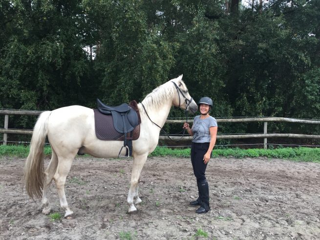 EDIX Yasir soft tree dressage saddle