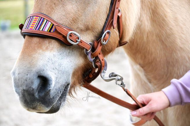 EDIX ED4, Hackamore model Brightstar - Afbeelding 2